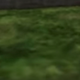 Illustration for article titled 10 Clumps Of Grass In Video Games